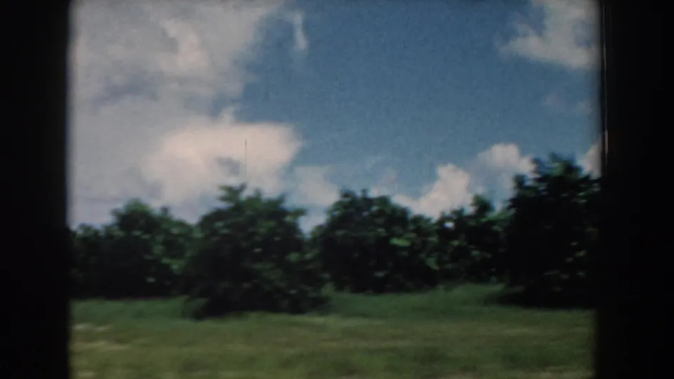 1958 South Carolina home-movie frame showing roadside greenery, tree masses, and sky from a moving passenger-side viewpoint.