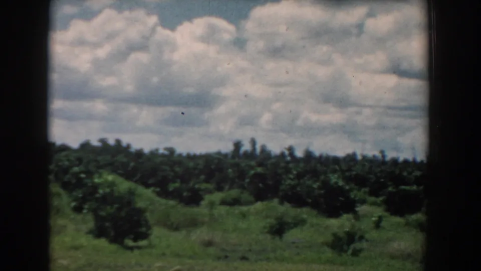 1958 South Carolina frame showing orchard-like tree rows and rolling green roadside land beneath a bright sky with large clouds.