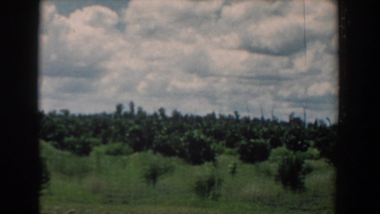 1958 South Carolina 8mm view of white clouds over a low green tree grove, with dark borders and soft home-movie texture.