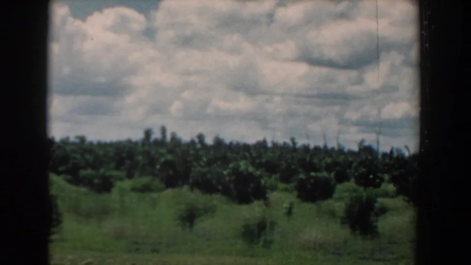 1958 South Carolina 8mm view of white clouds over a low green tree grove, with dark borders and soft home-movie texture.