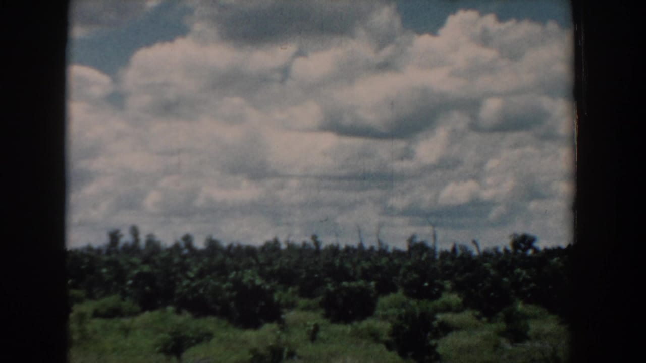 Broad white clouds above a distant green tree line with dark vertical framing.