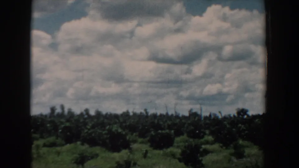 1958 South Carolina landscape frame showing a cloud-filled sky over dense green trees, divided by a dark vertical border.