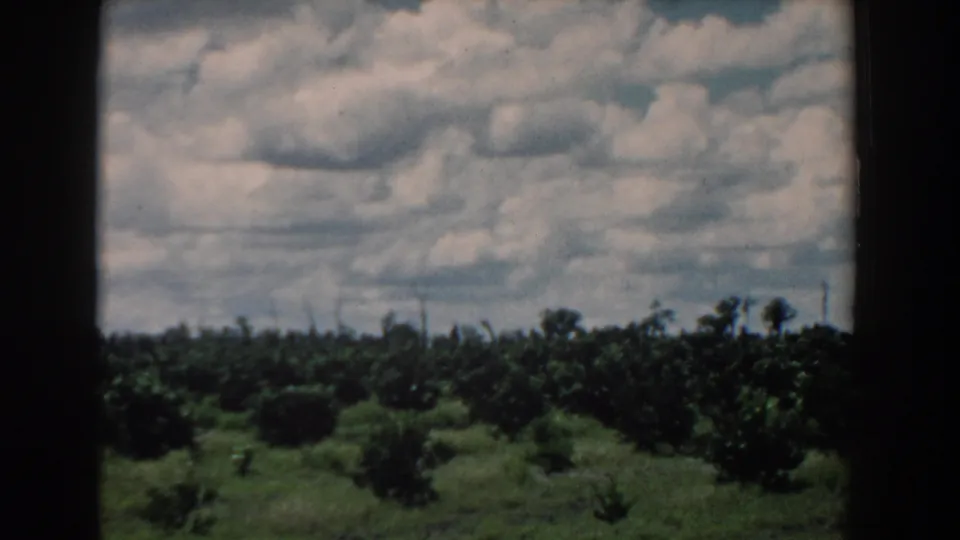 1958 South Carolina 8mm landscape still with layered white clouds, a low green grove, and dark frame edges from the original footage.