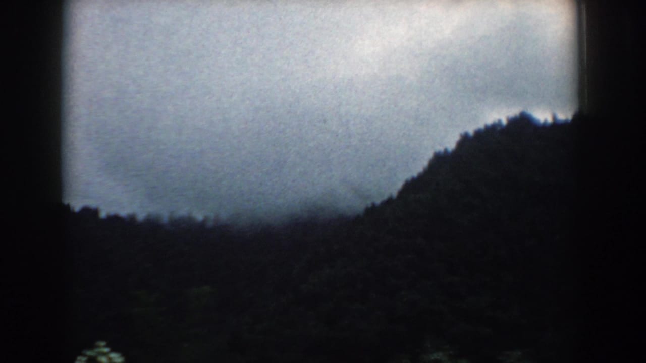Forested ridge line under a gray overcast sky, framed by dark film edges.