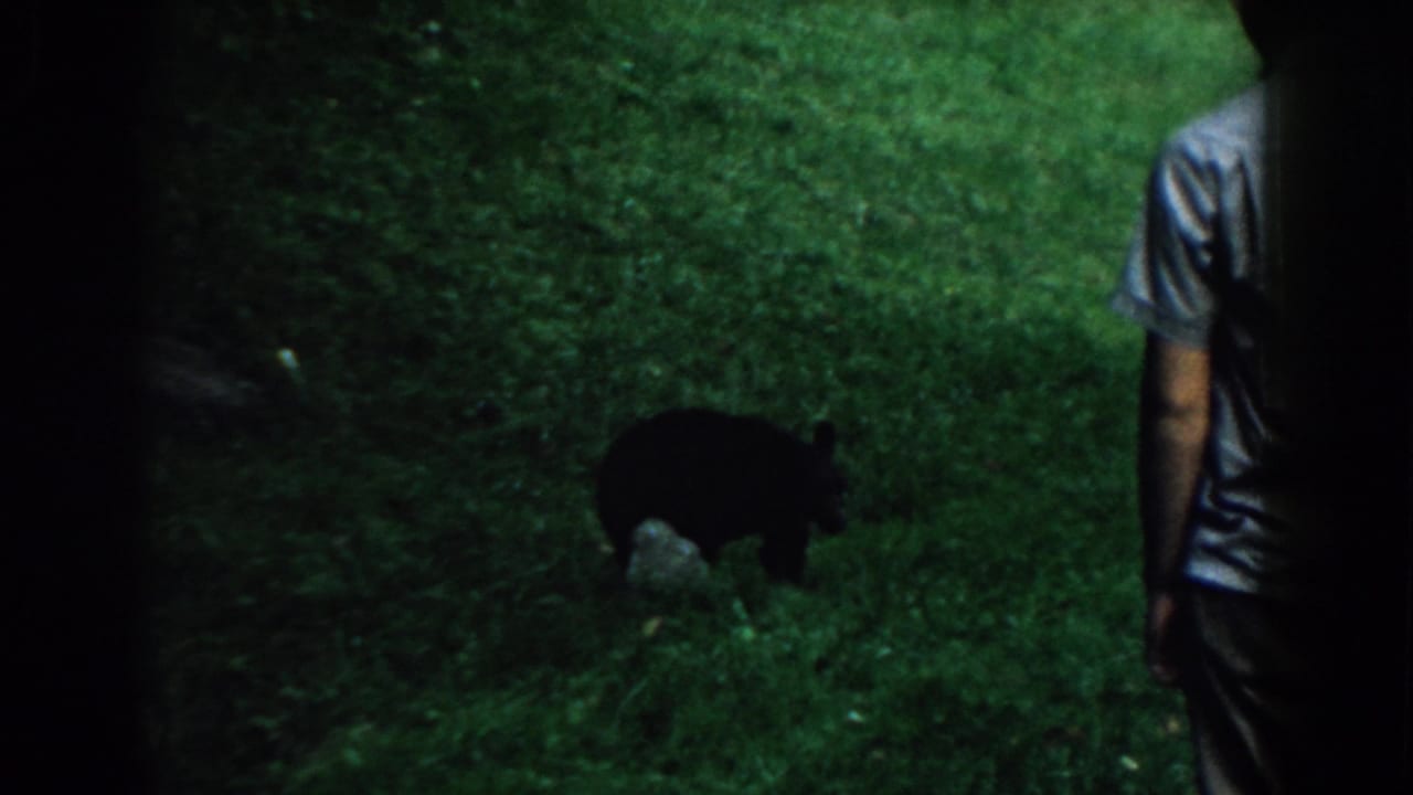 1958 South Carolina home-movie frame with a black bear in grass and an adult man observing from the right.