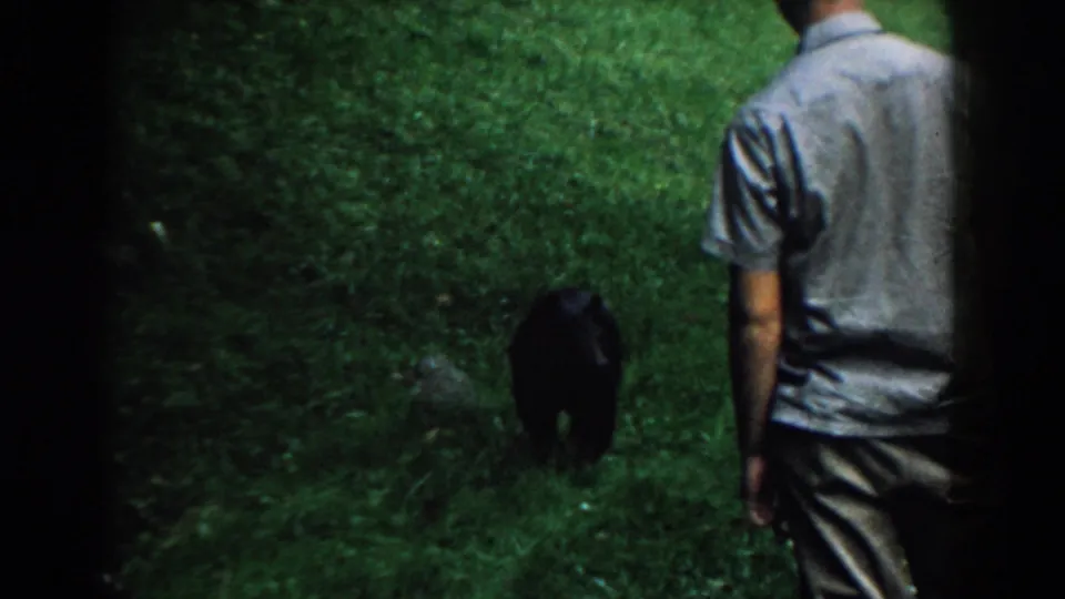 1958 South Carolina home-movie frame of a bear moving away as an adult man watches from the right.