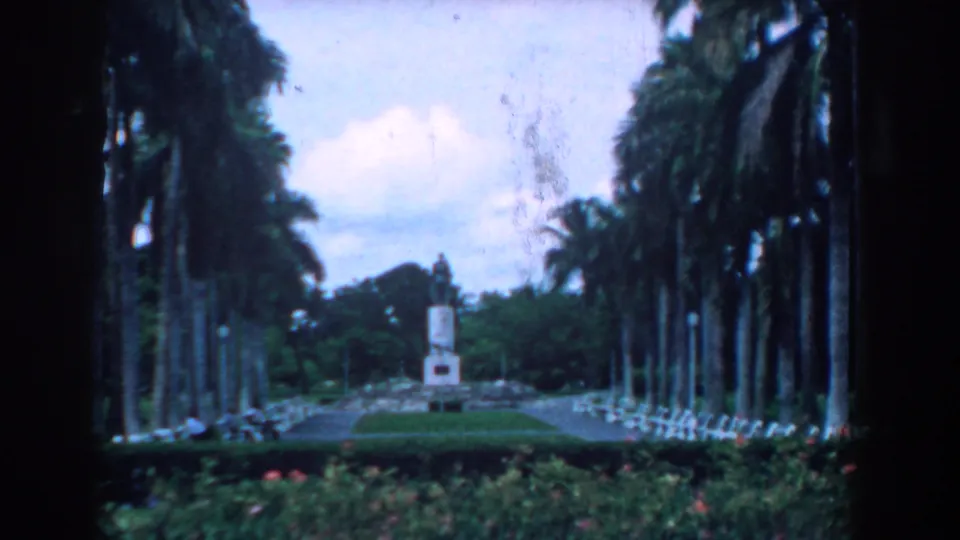 A wide 8mm view shows a palm-lined park path leading to a distant monument, likely from the same travel reel.