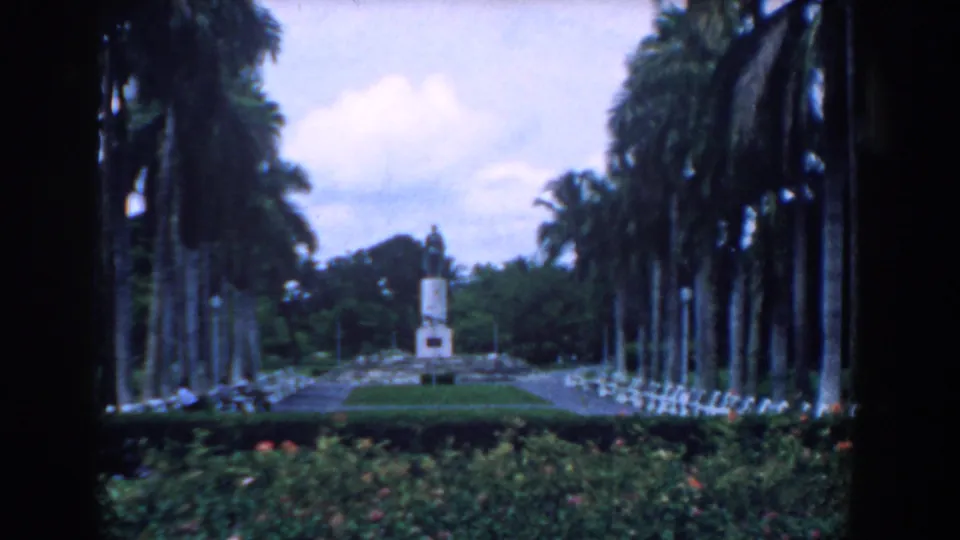 Soft 1958 8mm footage of a formal South Carolina garden, with a palm-lined walkway and central monument in the distance.