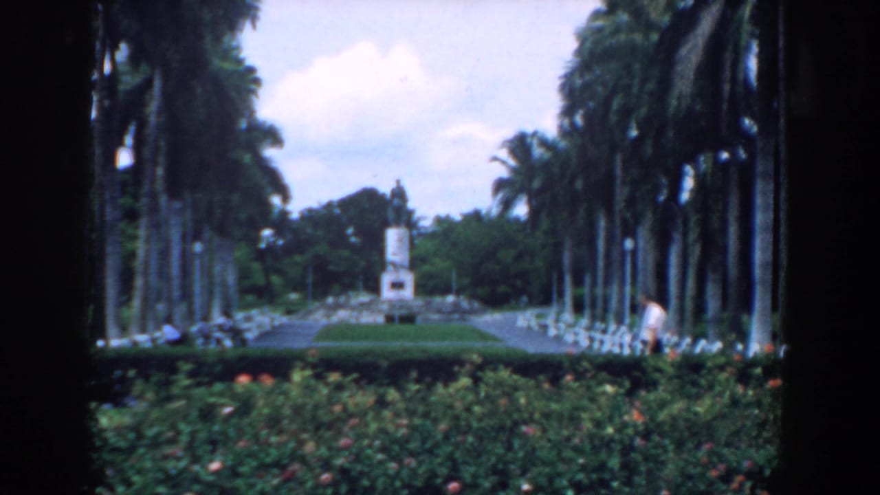 Formal garden path with tall palms, white benches, hedges, a monument, and a man walking on the right.