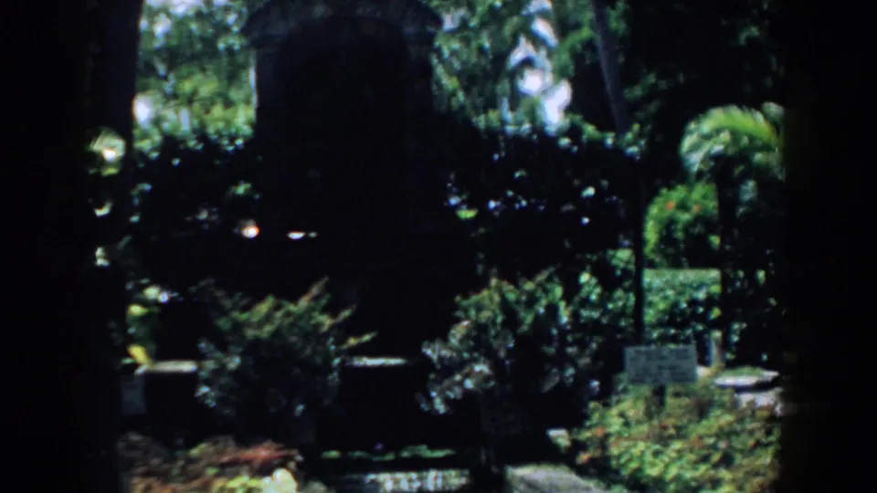 1958 South Carolina 8mm frame shifting into a shadowed garden area with dense tropical plantings, a large trunk, and small posted signs.