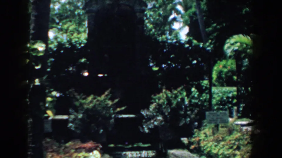 1958 South Carolina home-movie frame of a shaded tropical garden bed with a large trunk, layered foliage, and small signs near the walkway.