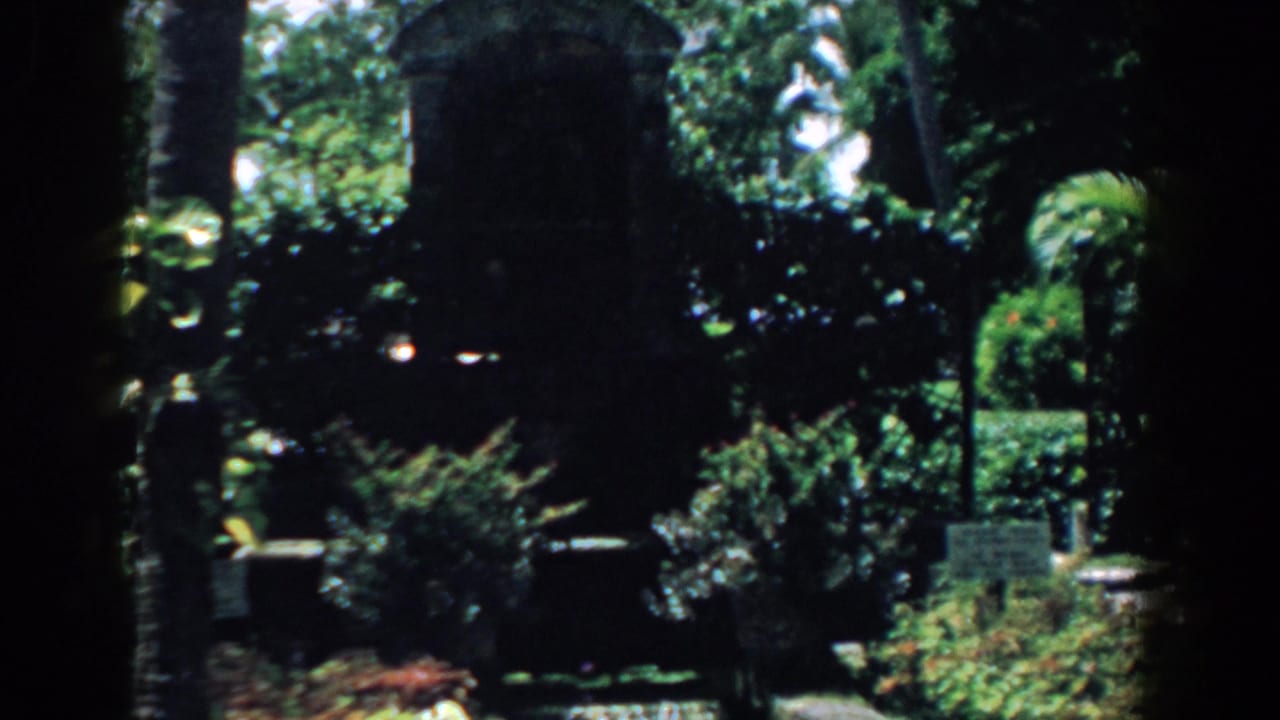 Shaded garden with palm trunks, dense shrubs, and a dark arched stone structure.