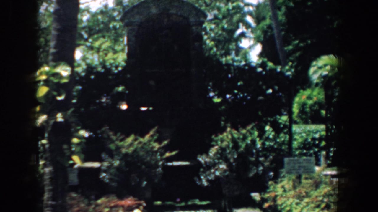 1958 South Carolina home-movie frame of a palm and shrub garden with dark stonework and a small sign or marker among the greenery.