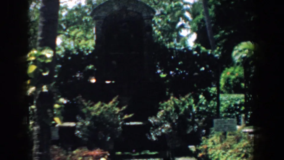 1958 South Carolina home-movie frame of a palm and shrub garden with dark stonework and a small sign or marker among the greenery.
