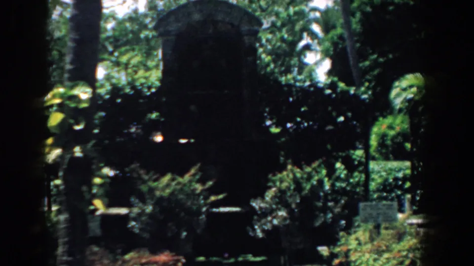 1958 South Carolina 8mm view of a lush, shaded garden where shrubs and palms partly obscure an arched stone marker.