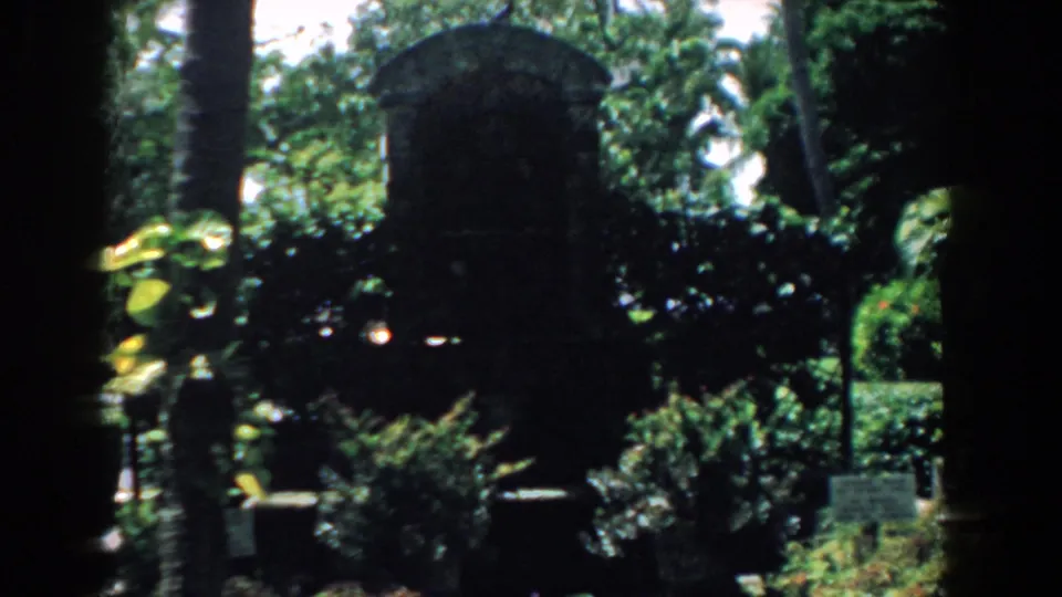 1958 South Carolina home-movie frame showing palms, dense foliage, a small sign, and an arched stone feature in deep shade.
