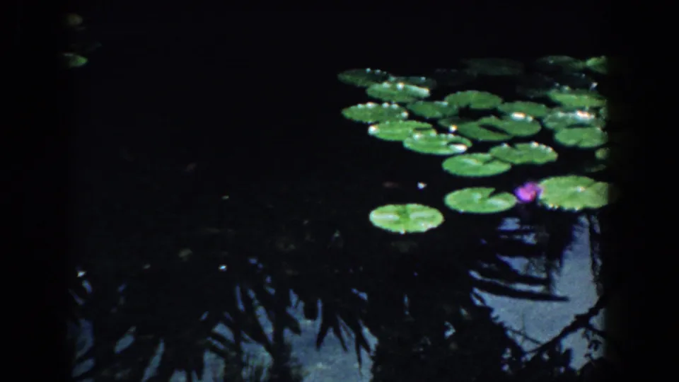 1958 South Carolina 8mm frame showing green lily pads, a purple water lily, and dark pond reflections edged by foliage.