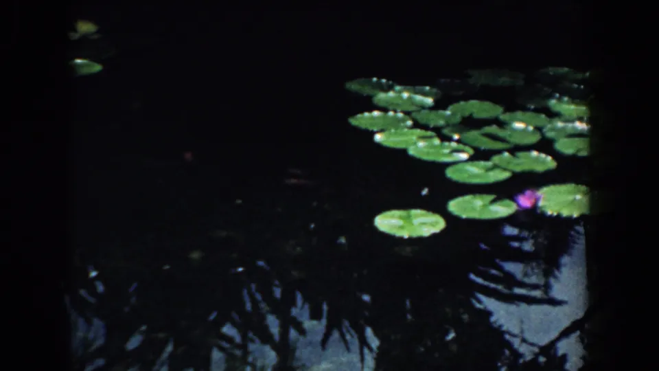 1958 South Carolina 8mm frame showing lily pads across a dark pond, with a purple water lily and leafy silhouettes reflected below.