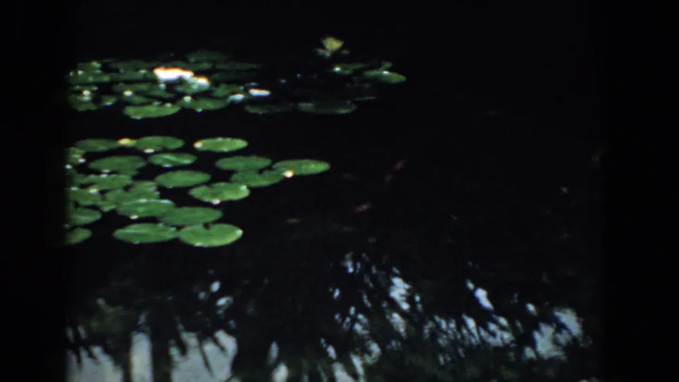 1958 South Carolina home-movie frame with a wider view of lily pads, dark pond water, and reflected surrounding foliage.
