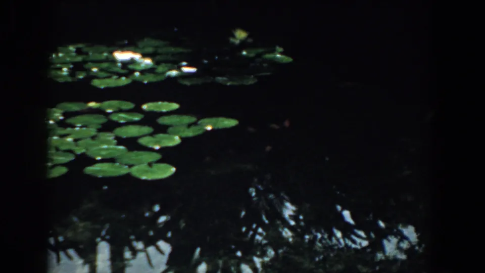 1958 South Carolina 8mm frame showing lily pads and pale water lilies floating on dark pond water with tree reflections.