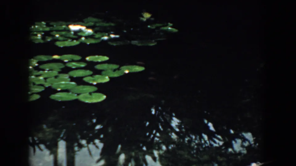 1950s home-movie frame with lily pads on a dark pond, softened by grain, shadow, and reflected trees.
