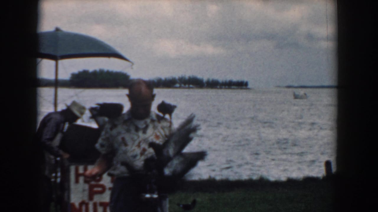 Man with large birds near a lakeside concession stand and umbrella.