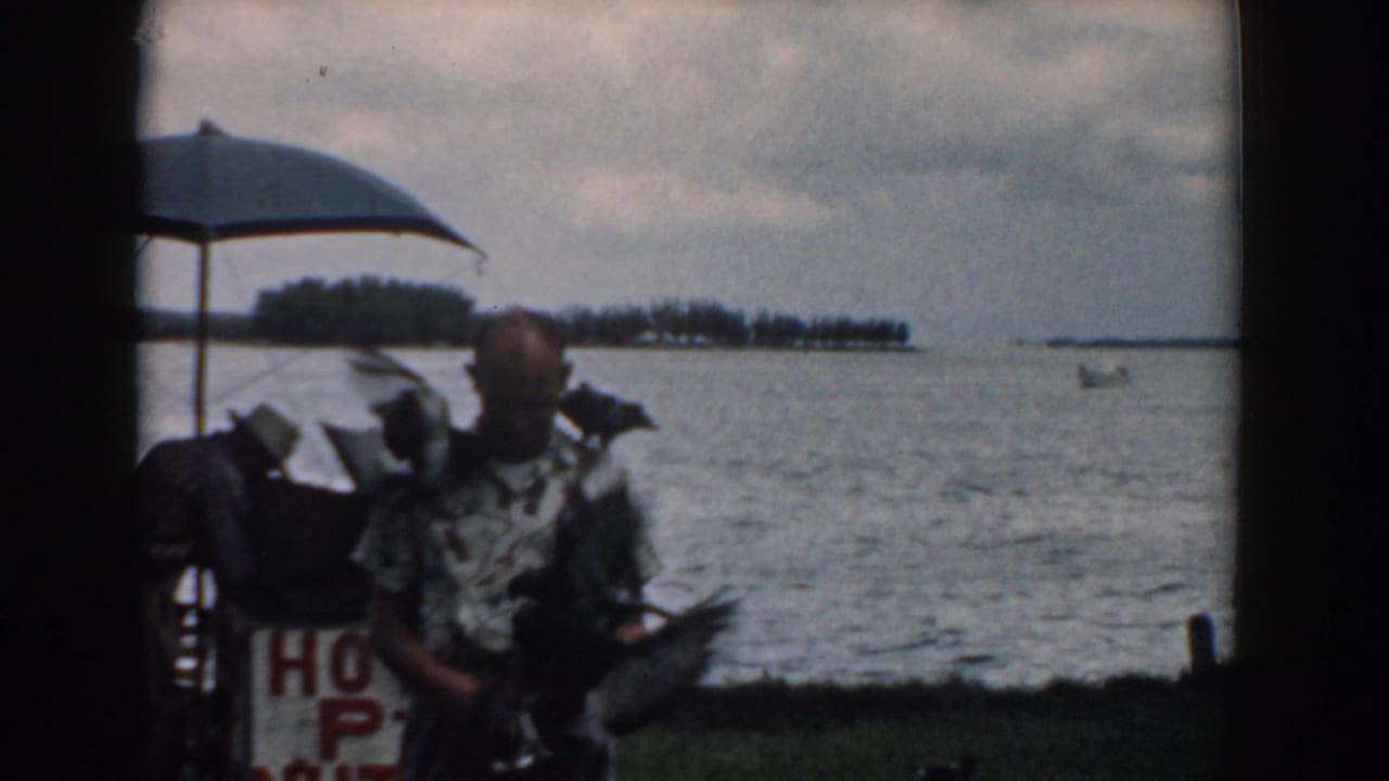 Man holding birds in front of water, umbrella, and partial food sign.
