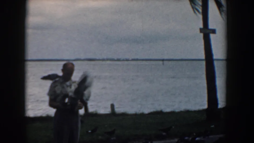 A South Carolina lakeside frame shows the bird handler farther from the camera, with birds on the ground and water behind.