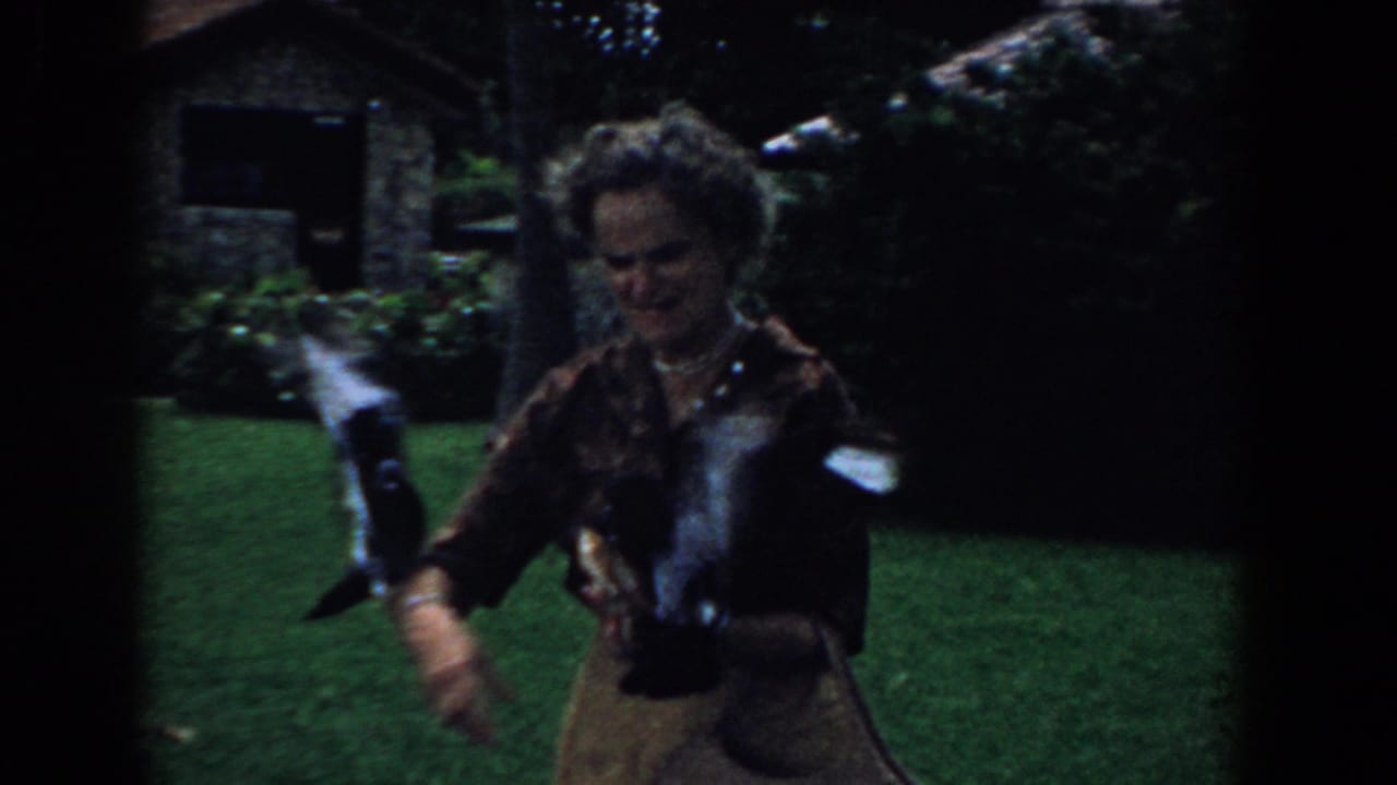 Woman in a backyard holds out food as pigeons fly around her.