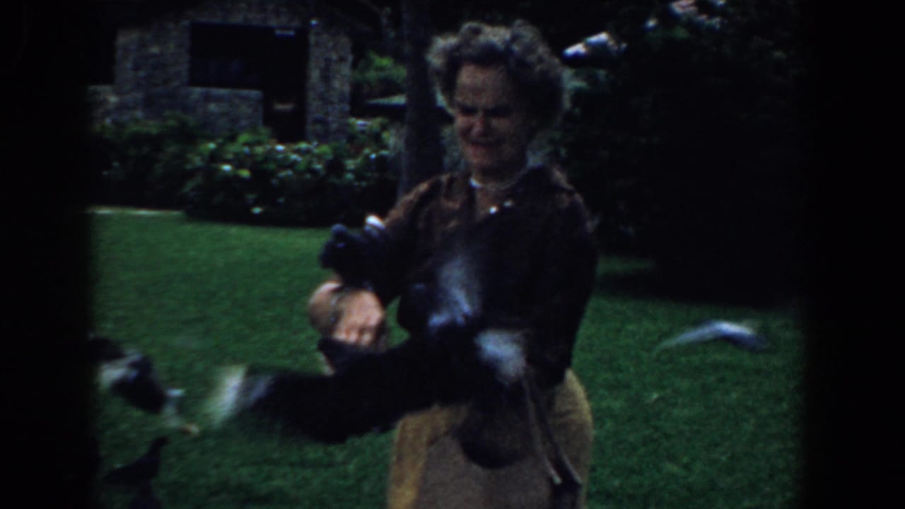 Woman smiles while several pigeons flap close to her arms.