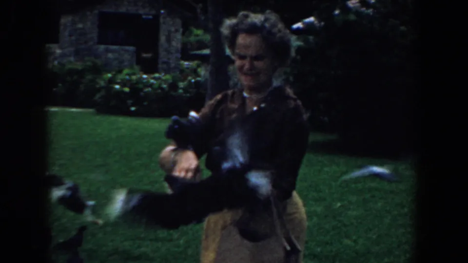 A woman in a backyard smiles as pigeons flutter around her during a 1958 South Carolina home movie.