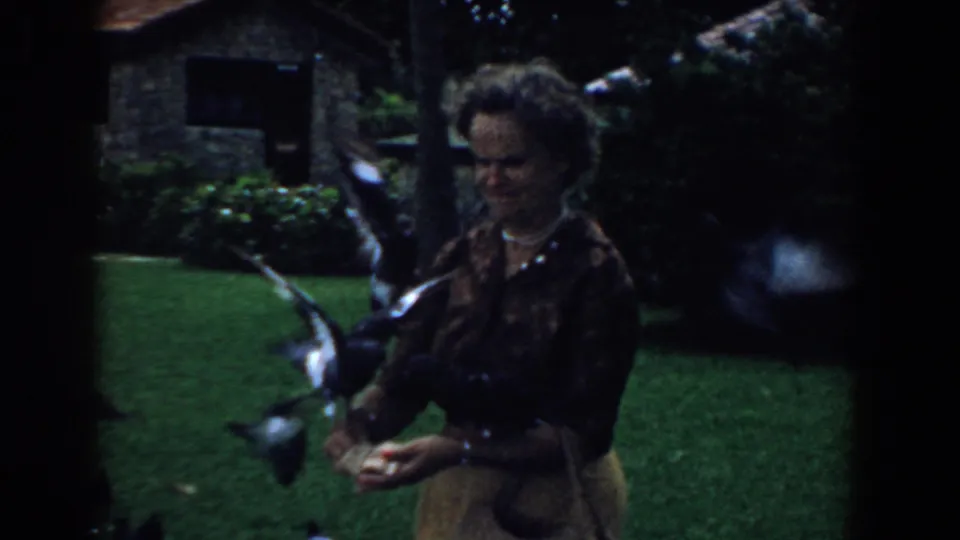 The woman lowers her gaze toward food in her hands as pigeons move through the backyard frame.