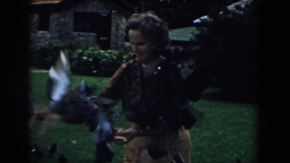 A late-1950s home-movie frame shows pigeons in motion around a woman feeding them in a South Carolina yard.