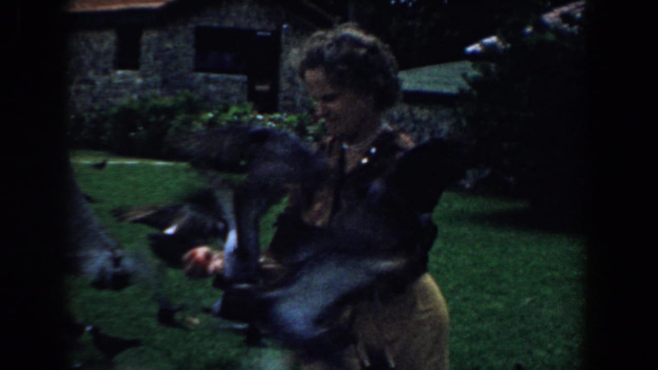 Woman in a yard holding feed as pigeons perch and fly around her arms.