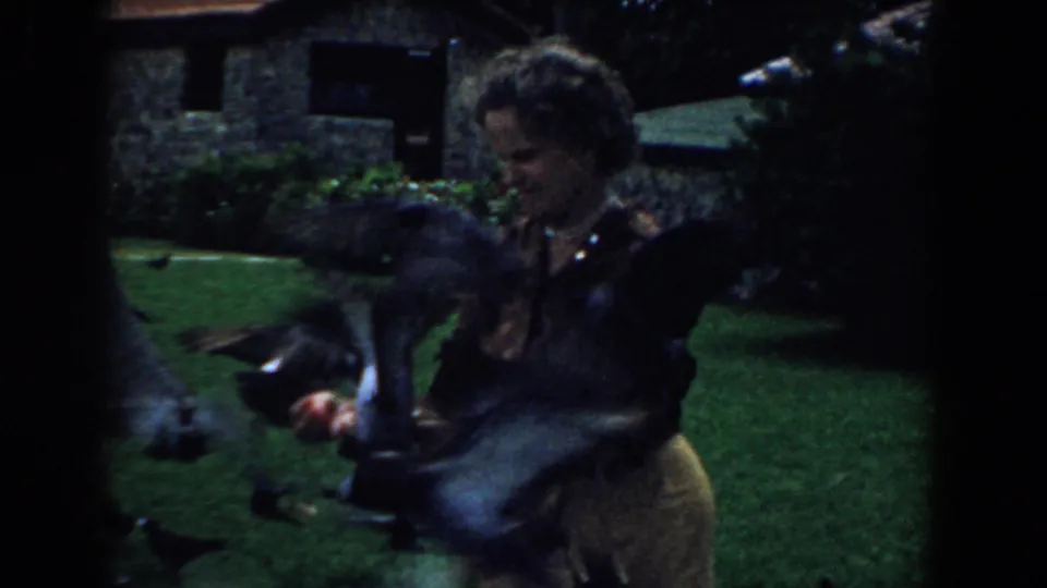 1958 South Carolina 8mm frame of a woman in a grassy yard feeding pigeons near shrubs and a stone house.