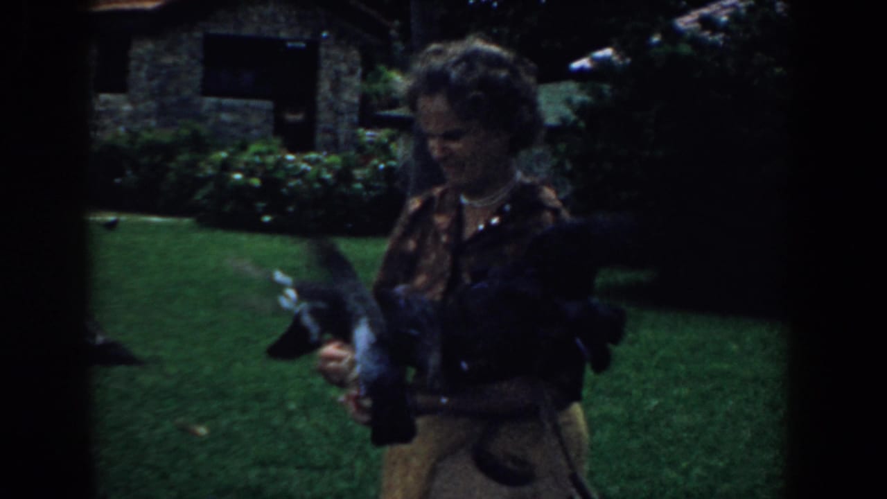 Woman looks down at pigeons gathered on her arms in a grassy yard.