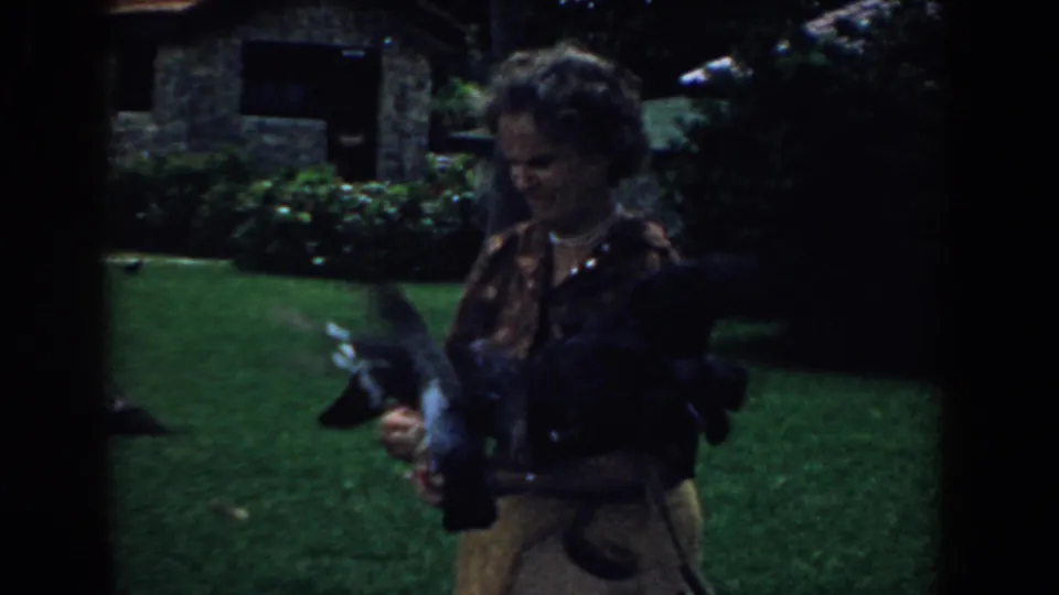 Woman in a patterned blouse stands on a South Carolina lawn while pigeons perch and flutter around her arms.