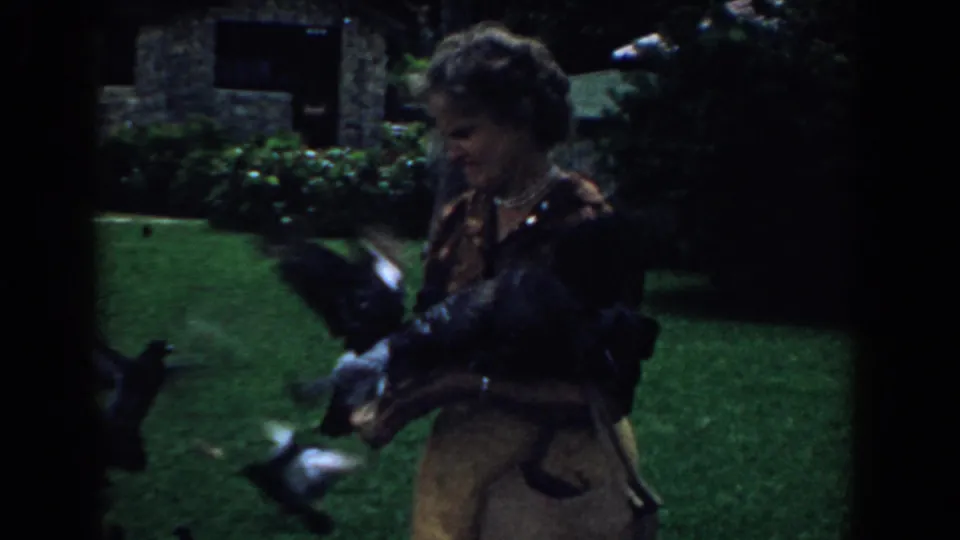 In this 8mm home-movie frame, pigeons flutter near a woman feeding them in a South Carolina yard.