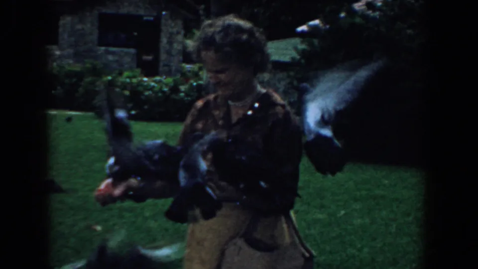 A woman in a 1958 South Carolina home movie feeds pigeons as birds fly past the camera and perch on her arms.
