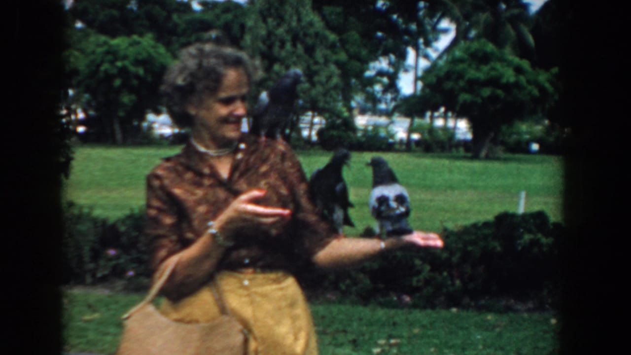 Woman in a park smiles with pigeons nearby and one hand open.