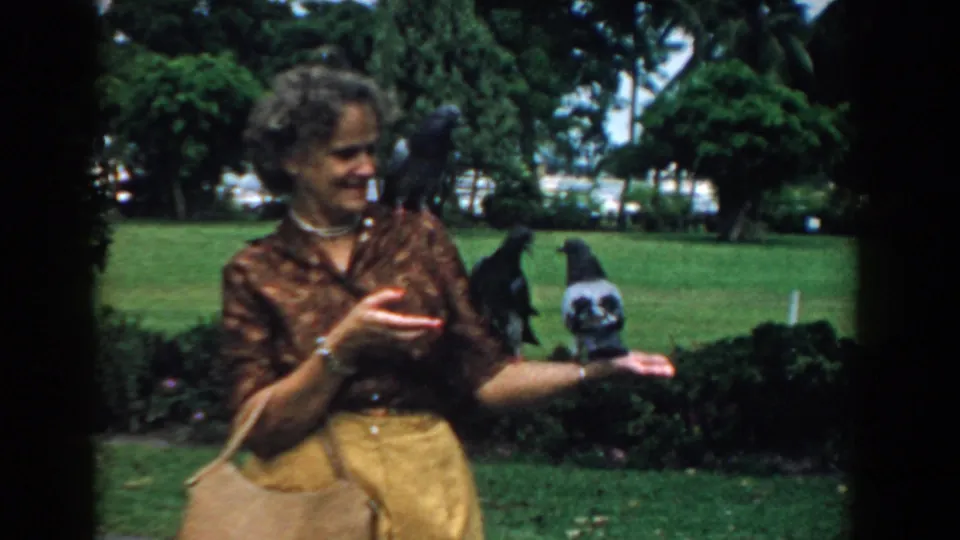 In 1958 South Carolina 8mm footage, a woman in a brown blouse and yellow skirt feeds pigeons on a green park lawn.