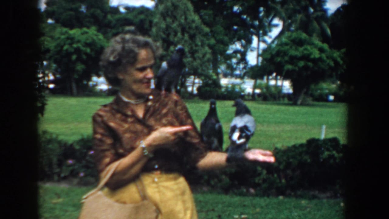 Woman looks toward pigeons perched near her hand in a grassy park.