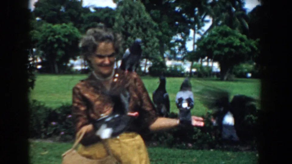 Pigeons flutter around a smiling woman with both hands open in a sunlit South Carolina park scene from 1958.
