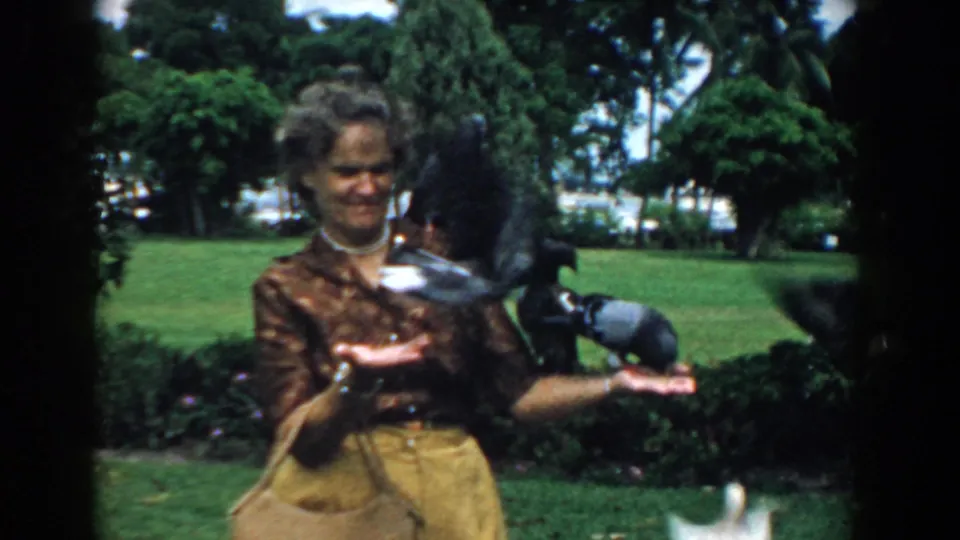 A close moment from the 8mm clip shows pigeons landing near the woman's hands and shoulder in the green park setting.