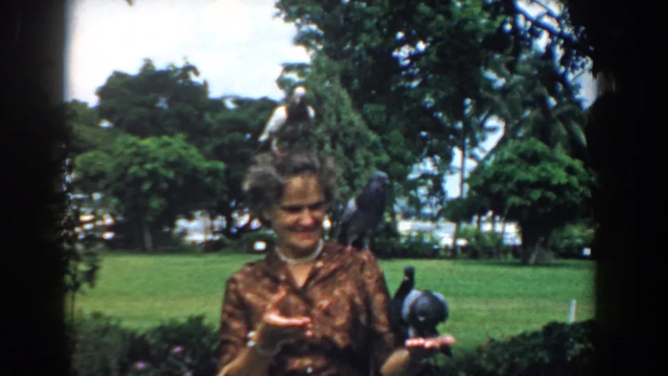 A park visitor in a brown blouse watches pigeons settle on her head, shoulder, and hand in vintage 8mm footage.