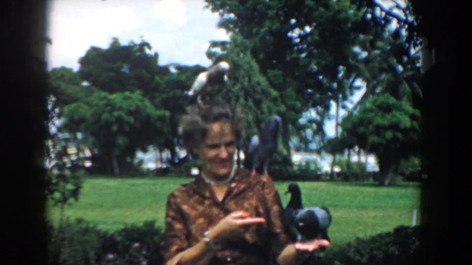 In a green park, a woman smiles faintly as pigeons perch on her hand, head, and shoulder in 1958 home-movie footage.