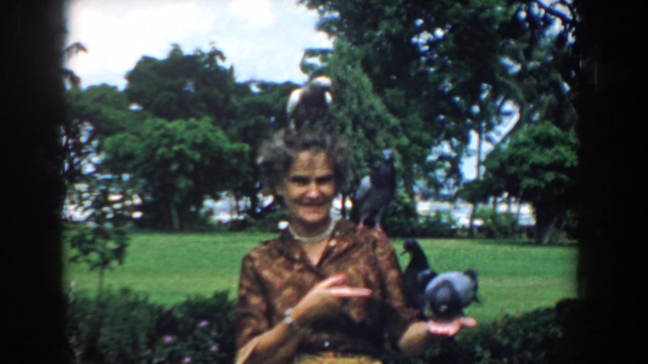 Woman smiling as pigeons perch on her head, shoulder, and hand in a green park.