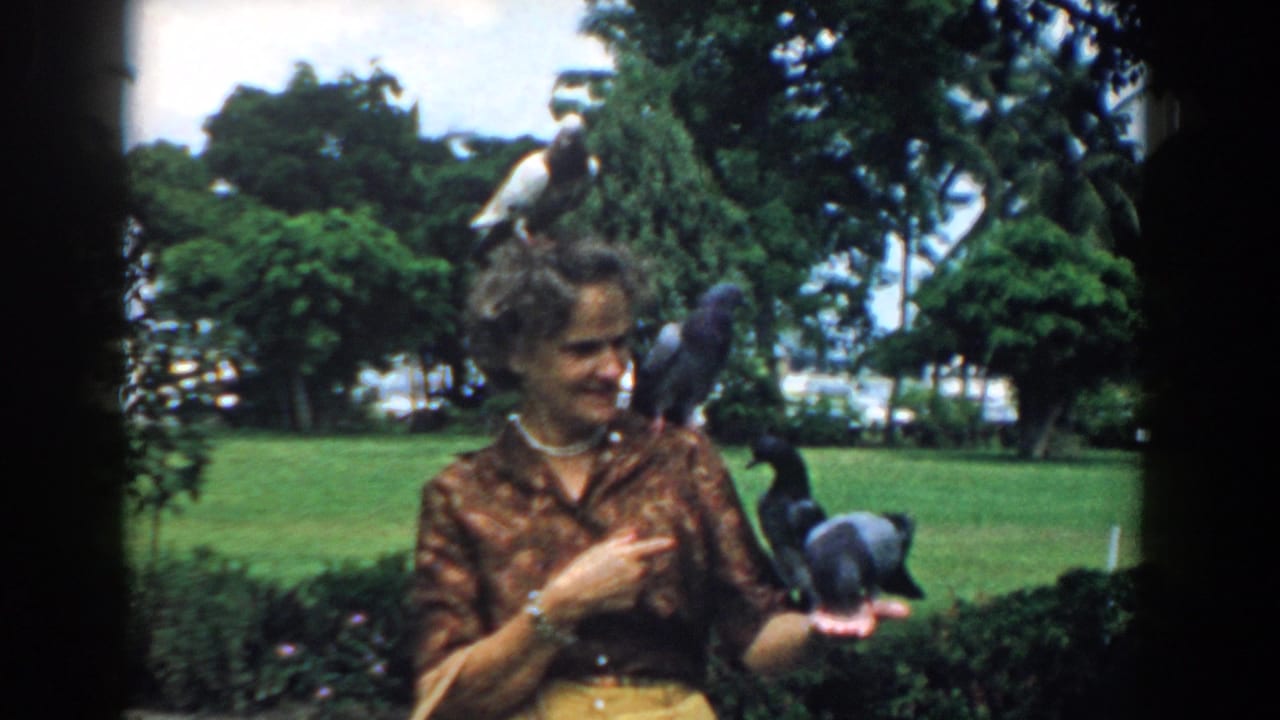 The woman turns toward a pigeon on her hand as other pigeons remain perched on her head and shoulder in the South Carolina park scene.