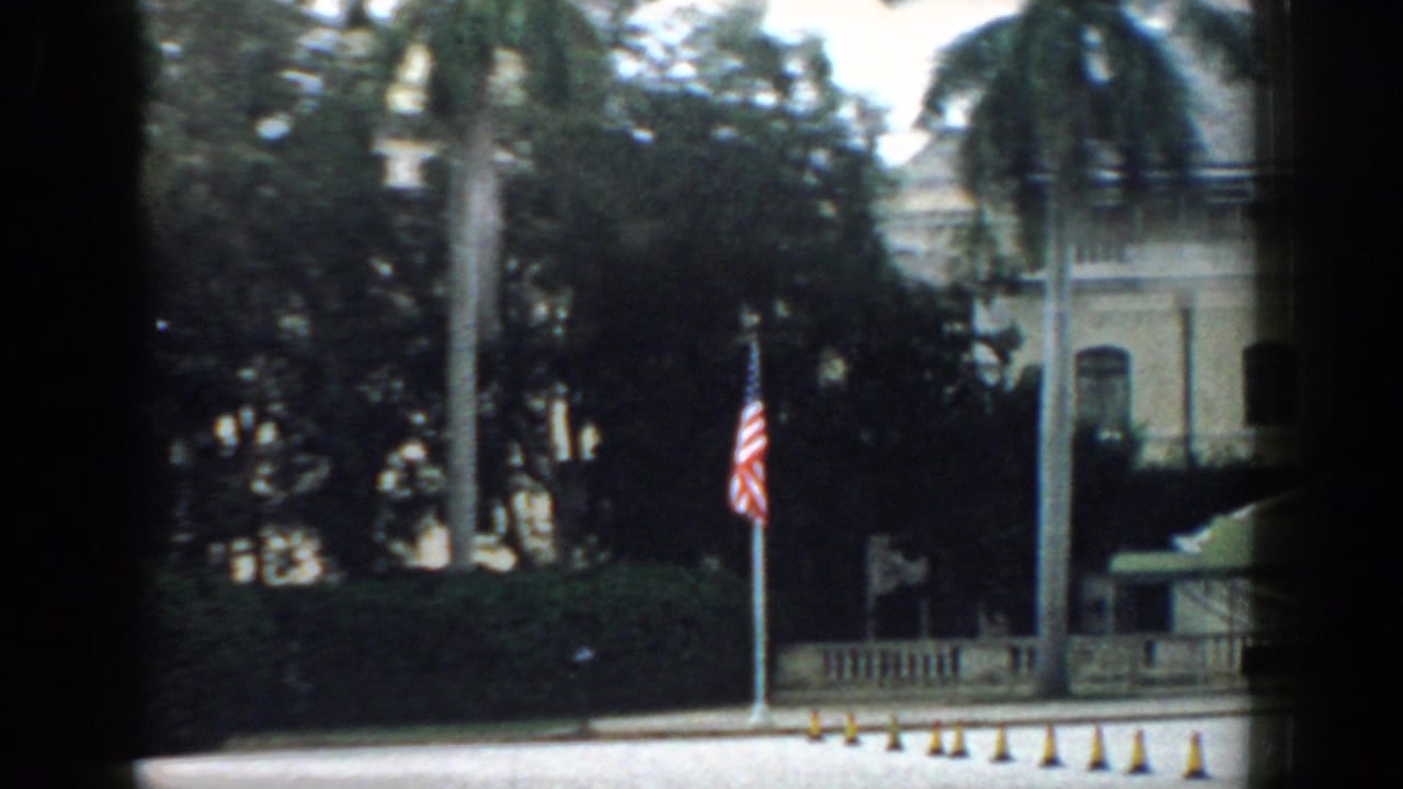 Grand light-colored building partly obscured by palm trees and a dark window frame.