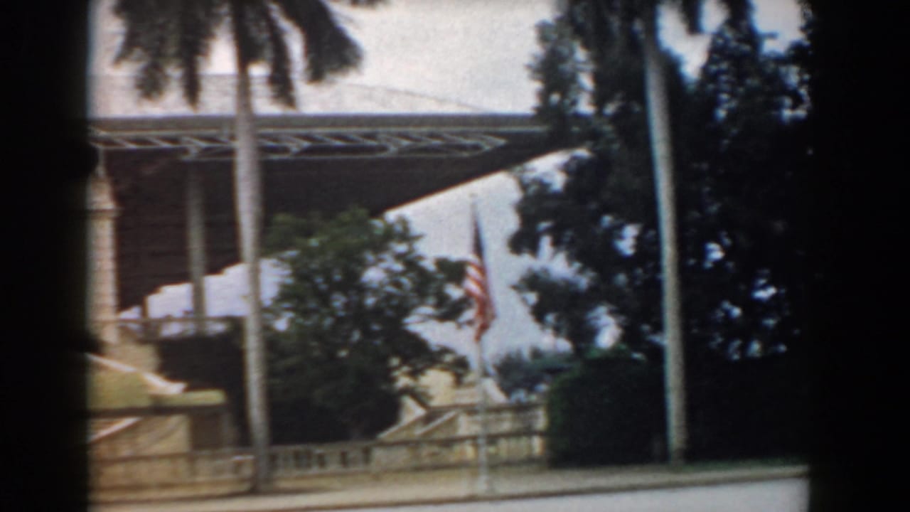Palm trunks, shaded building frontage, awnings, stairs, shrubs, and roadside edge.